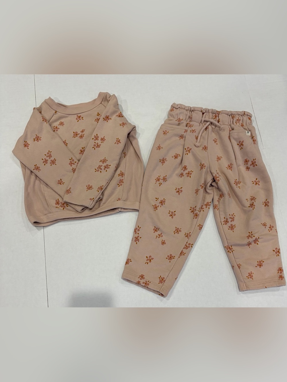 Toddler Floral Sweatpants Set in Blush Pink